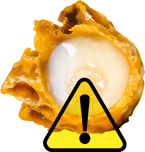 A Comprehensive Booklet on Royal Jelly Geohoney